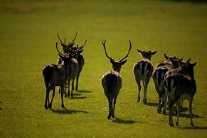 Brijuni Hotel Neptun