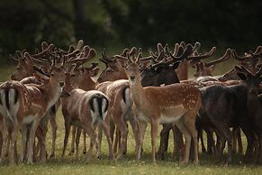 Brijuni Hotel Neptun