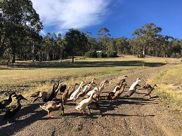 Architectural Design Rural Retreat