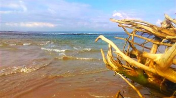 Chaya Villa Guest House