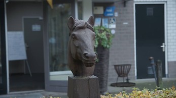Human & Horse Hotel