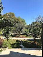 Domaine de l'Aufrene