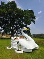 Chalés Parque Aquático