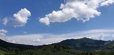 Chiangkhan River Green Hill