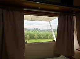 Chiangkhan River Green Hill