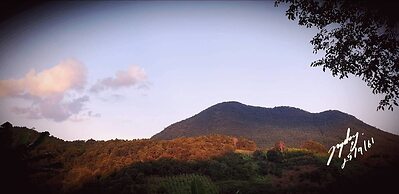 Chiangkhan River Green Hill
