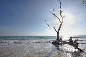 Coral Reef Resort & Spa, Havelock
