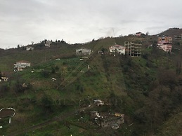 Menay Properties - 3