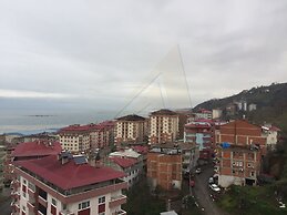 Menay Properties - 3