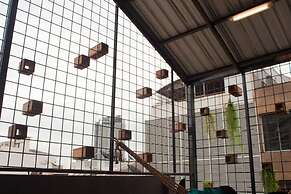 Zhelter'BKK - Hostel