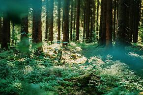 Hotel Hasselhof Superior