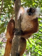 Tropical Paradise Nosy Be