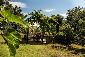 Agriturismo Azienda Agricola il Pozzo
