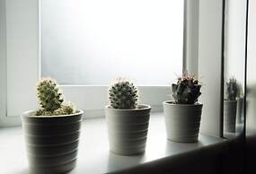 Il Detto Casa Regina-Palmentieri