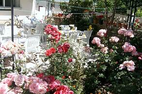 Sehsuvar Peace Pension