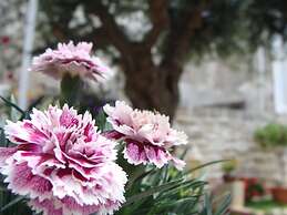 Guest House Al Gattopardo