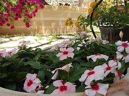 Guest House Al Gattopardo