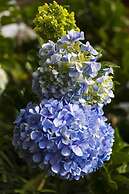 Pondok Guru Bakti Cottages