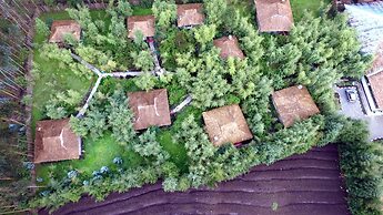 Le Bambou Gorilla Lodge