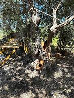 Ciriga Sicily Glamping