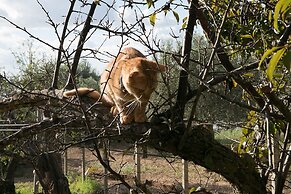 Ciriga Sicily Glamping