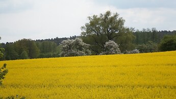 Ferienhof Meyer