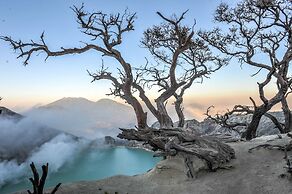Ijen Resort and Villas