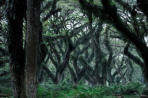 Ijen Resort and Villas