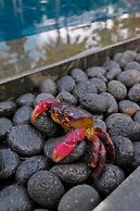 Umadewi Surf & Retreat