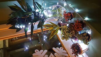 Tam Coc Tuan Minh Homestay