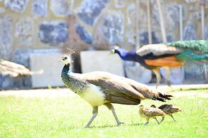 Pine Club Apart Hotel