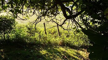 Apartamentos La Collada