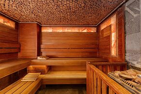 Radisson Hotel & Congress Center Saransk