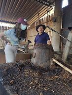 Hotel con Corazón Oaxaca