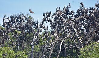 Del Mar Home Stay and Cafe