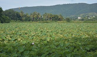 Del Mar Home Stay and Cafe