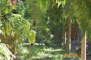 Del Mar Home Stay and Cafe