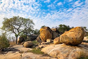 Rhino Walking Safaris