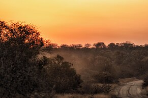 Rhino Walking Safaris
