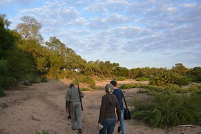 Rhino Walking Safaris