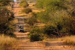 Rhino Walking Safaris