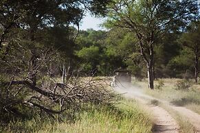 Rhino Walking Safaris