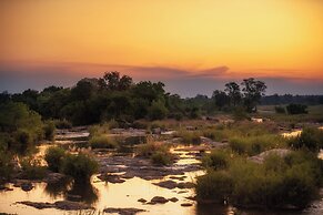 Rhino Walking Safaris