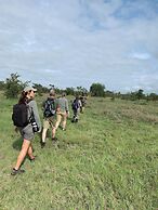Rhino Walking Safaris