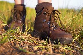 Rhino Walking Safaris