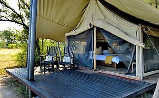 Rhino Walking Safaris