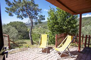 Residence Villa Conti