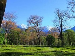 The Bliss Palampur