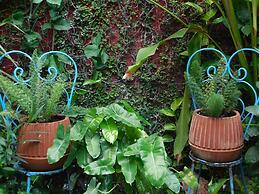 Hotel Boutique Casa Flor De Mayo