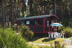 Les Chalets du Haut-Forez